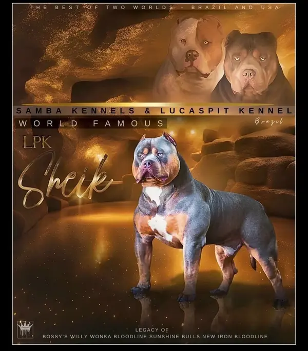 LPK Sheik