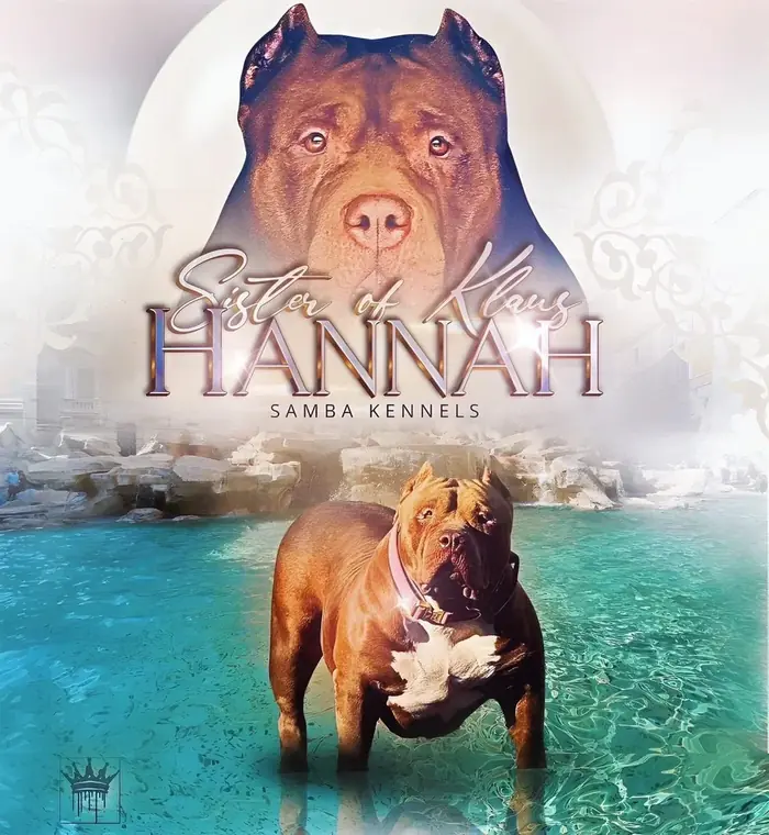 Canil Rocha Hannah