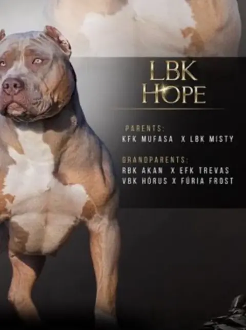 LBK Hope