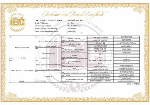 LBK Hope registration certificate
