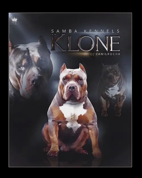Klone