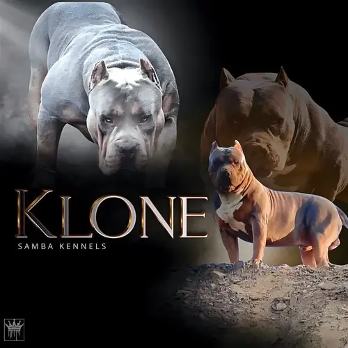 Klone
