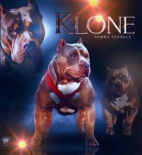 Klone
