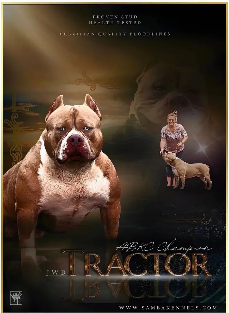 ABKC Champion “JWB Tractor”