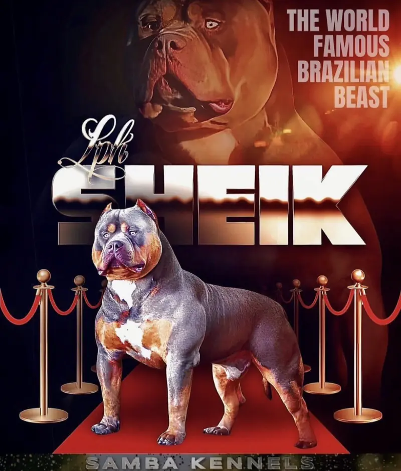 Samba Kennels Makes History at the ABKC Alabama Red Carpet Dog Show