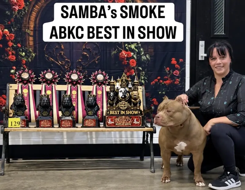 Samba Kennels Makes History at the ABKC Alabama Red Carpet Dog Show
