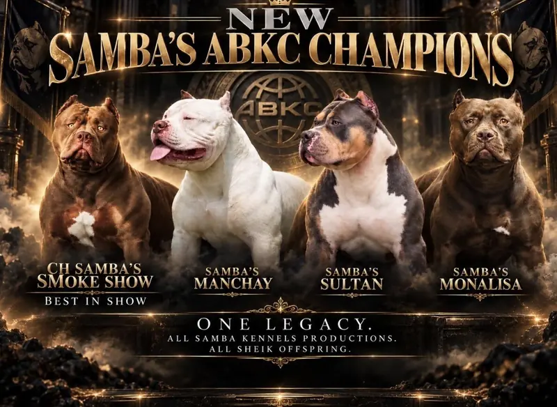 Samba Kennels Makes History at the ABKC Alabama Red Carpet Dog Show