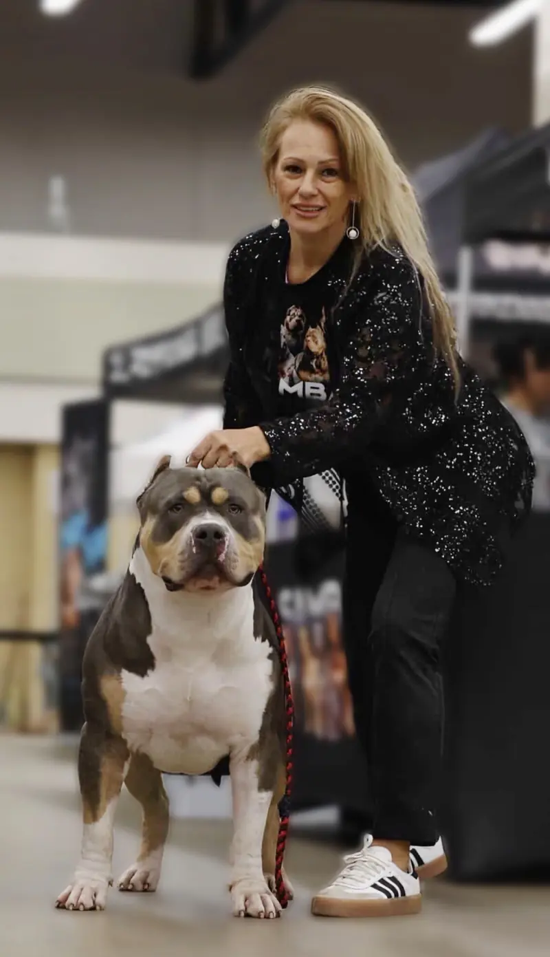 Samba Kennels Family Shines at the ABKC D-Town Bullie Showdown 2.0